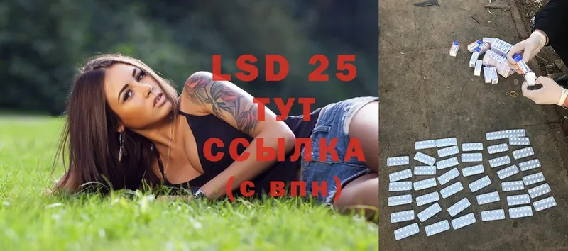 Лсд 25 экстази ecstasy  omg ТОР  Томмот 